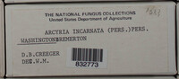 Image Associated With the Occurence